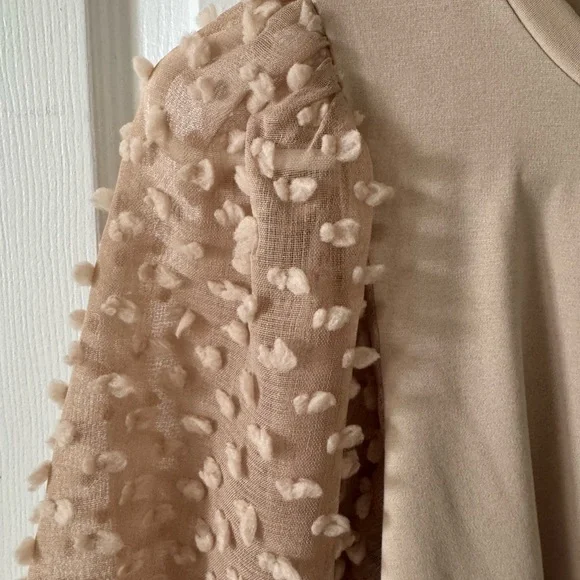 Mittoshop Unique Top, S, Round Neck, Slipover, Sheer Sleeves NWOT - Picture 4 of 7